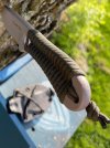 IMG_7081.jpeg