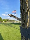 IMG_7078.jpeg