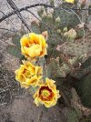 IMG_8695.jpeg