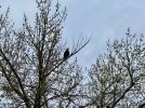 IMG_7867.jpeg