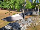 Saddle Tramp, 4-22-26.jpg