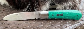 IMG_3841.jpeg