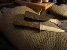 IMG_0747.jpeg IMG_0747.jpeg