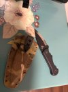 IMG_9926.jpeg