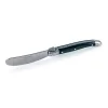 laguiole-butter-knife-with-black-handle.webp