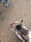IMG_20260427_162948.jpg