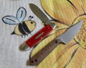 IMG_6955.jpeg