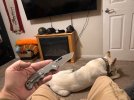 IMG_8719.jpeg