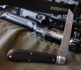 Waynorth Ebony Lambsfoot 3-2.JPG
