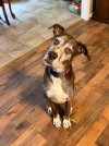 IMG_1836.jpeg