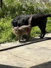 IMG_8424.jpeg