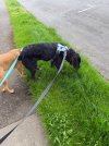 IMG_8364.jpeg IMG_8364.jpeg