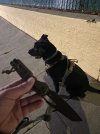 IMG_2123.jpeg