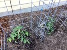 IMG_1754.jpeg