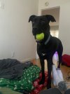 IMG_3747.jpeg IMG_3747.jpeg