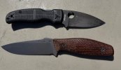 IMG_8373.jpeg