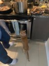 IMG_0507.jpeg