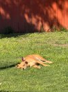 IMG_5768.jpeg