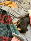 IMG_9378.jpeg