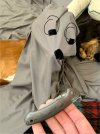 IMG_9372.jpeg
