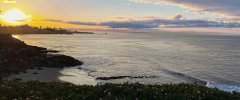 IMG_9225.jpeg