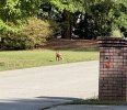 IMG_8647.jpeg