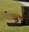 IMG_8649.jpeg