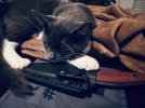 IMG_2691.jpeg