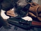IMG_2690.jpeg