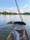 IMG_5701.jpeg