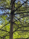IMG_5265.jpeg