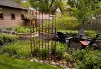 backyard spring - 1.jpeg