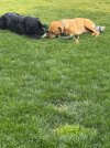 IMG_6520.jpeg
