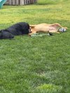 IMG_6523.jpeg
