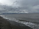 IMG_1306.jpeg
