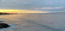 IMG_9261.jpeg