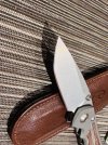 IMG_2747.jpeg