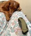 IMG_9428.jpeg