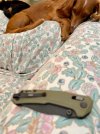 IMG_9431.jpeg