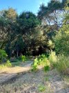IMG_9439.jpeg