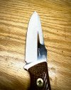 IMG_0485.jpeg