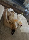 IMG_4070.jpeg