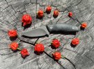 IMG_0023.jpeg