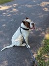 IMG_8673.jpeg