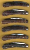 Ettrick Bone 1.jpg