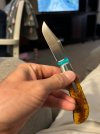 IMG_5981.jpeg
