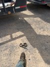 IMG_5978.jpeg