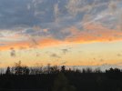 IMG_0635.jpeg