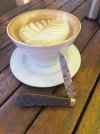 IMG_8828.jpeg