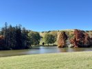 IMG_8842.jpeg